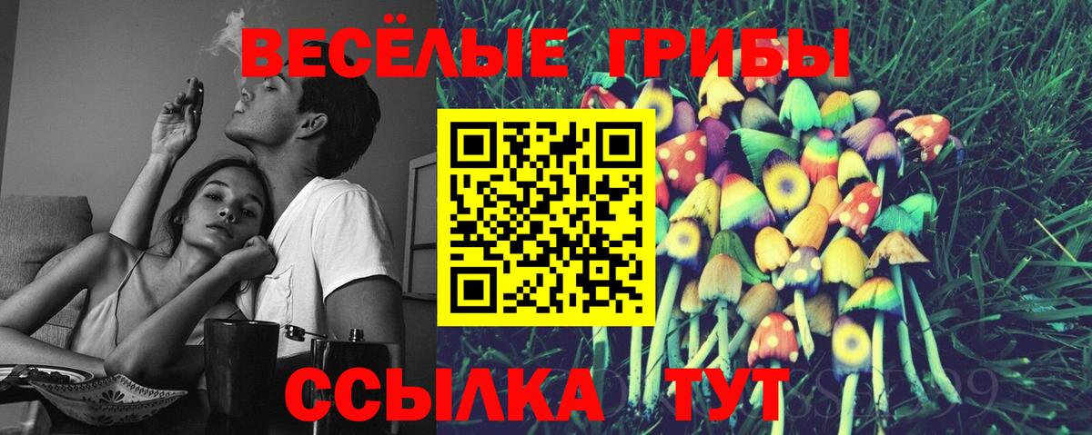 Узловая  купить   Вход с VPN  Псилоцибиновые грибы прущие грибы 
